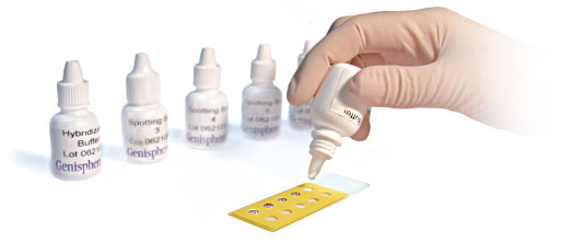DNA Chips: Genes to Disease