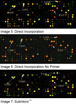 (Direct Incorporation), (Direct Incorporation No Primer), (Submicro)
