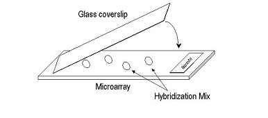 Microarray Loading Technique 