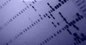 Genisphere DNA probes for Northern and Southern blots