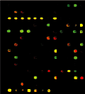 Array 350 Photo