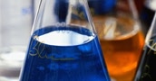 Genisphere DNA probes for Northern and Southern blots