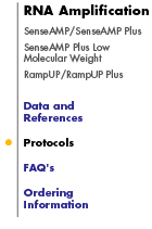 RNA Amplification