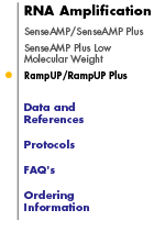 RNA Amplification