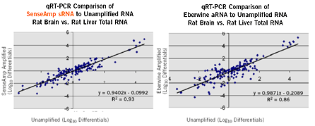 RNA Amplification - SenseAMP